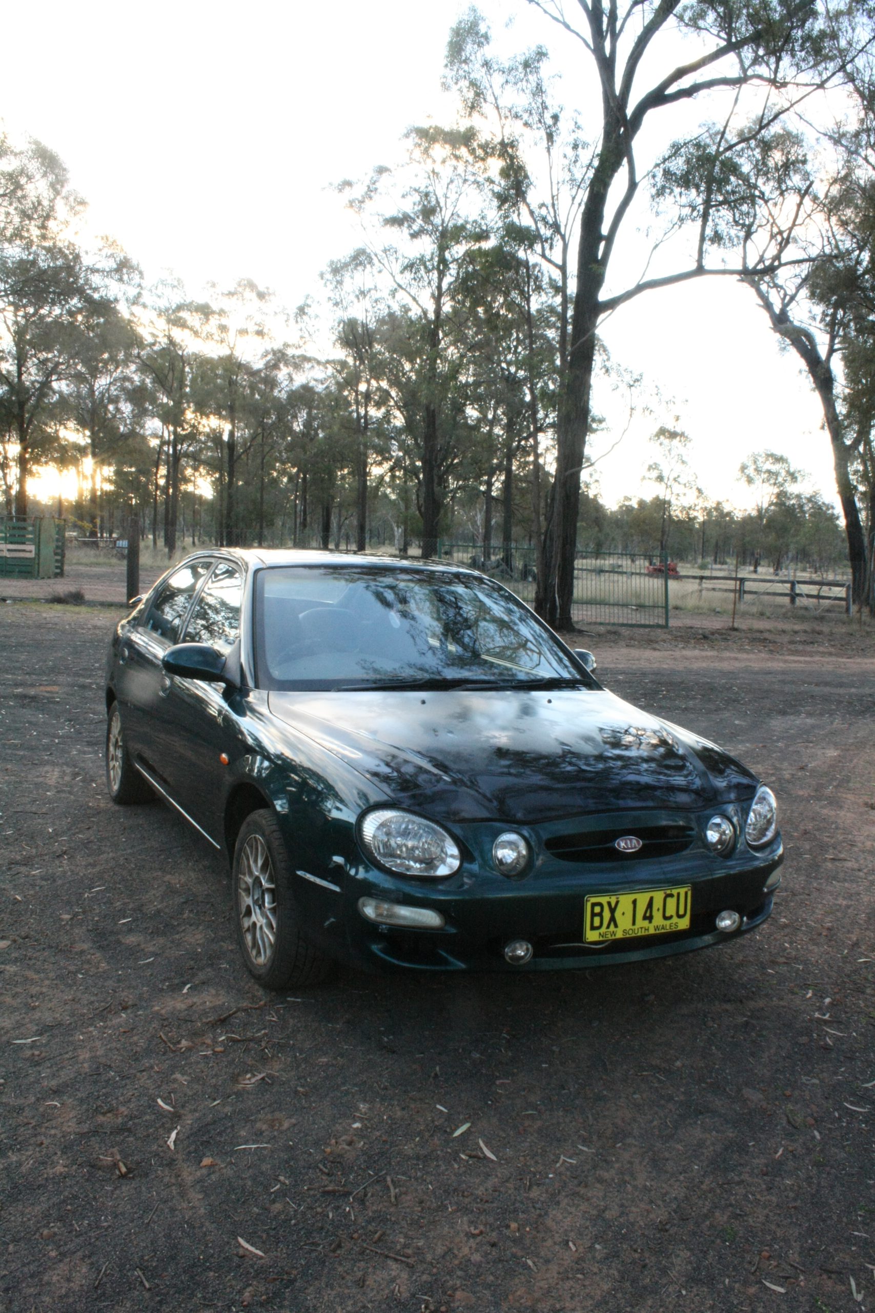 Les forfaits tout compris